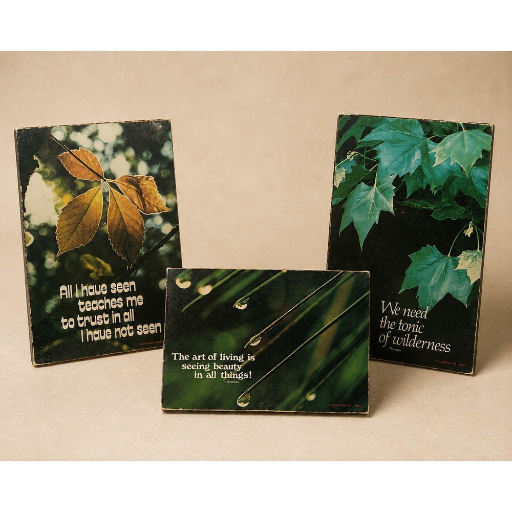 Vintage Abbey Press Nature Photography Wall Plaques Lot 3 Thoreau Inspirational